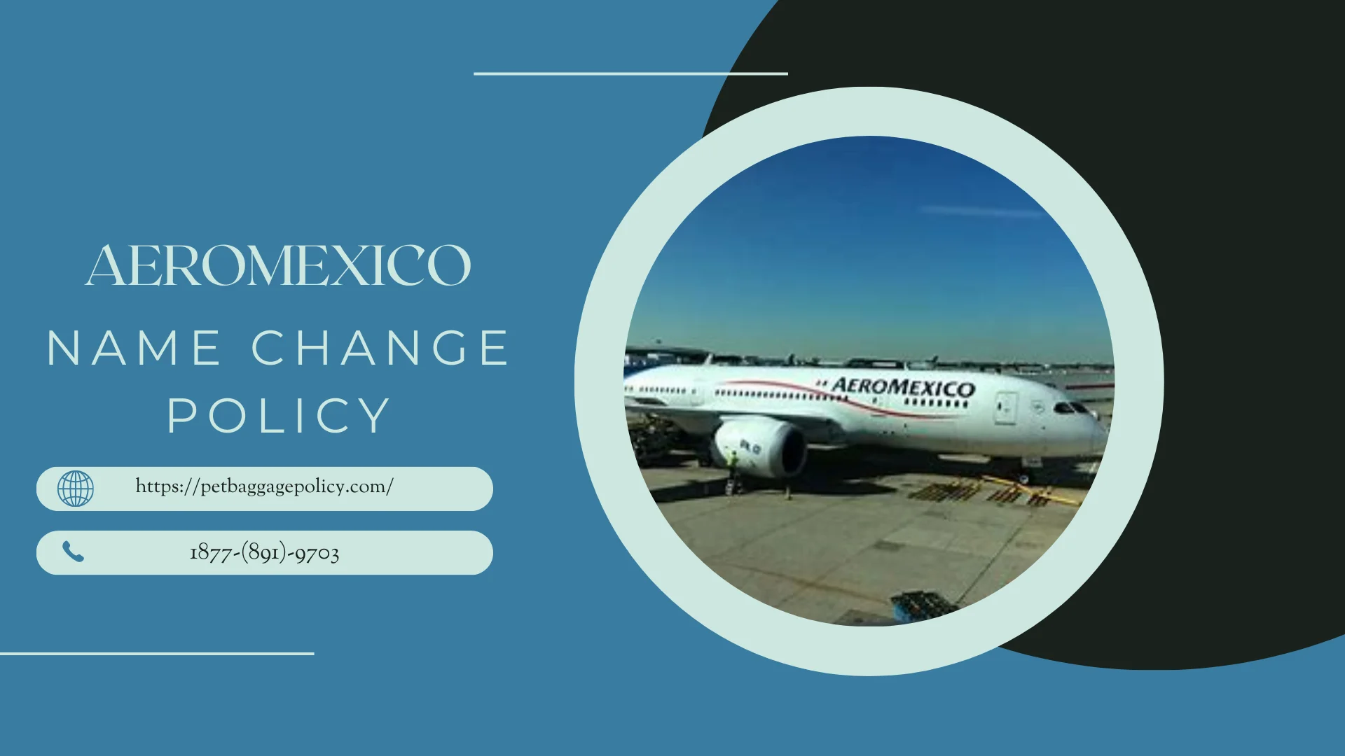 Aeromexico Airlines Name Change Policy