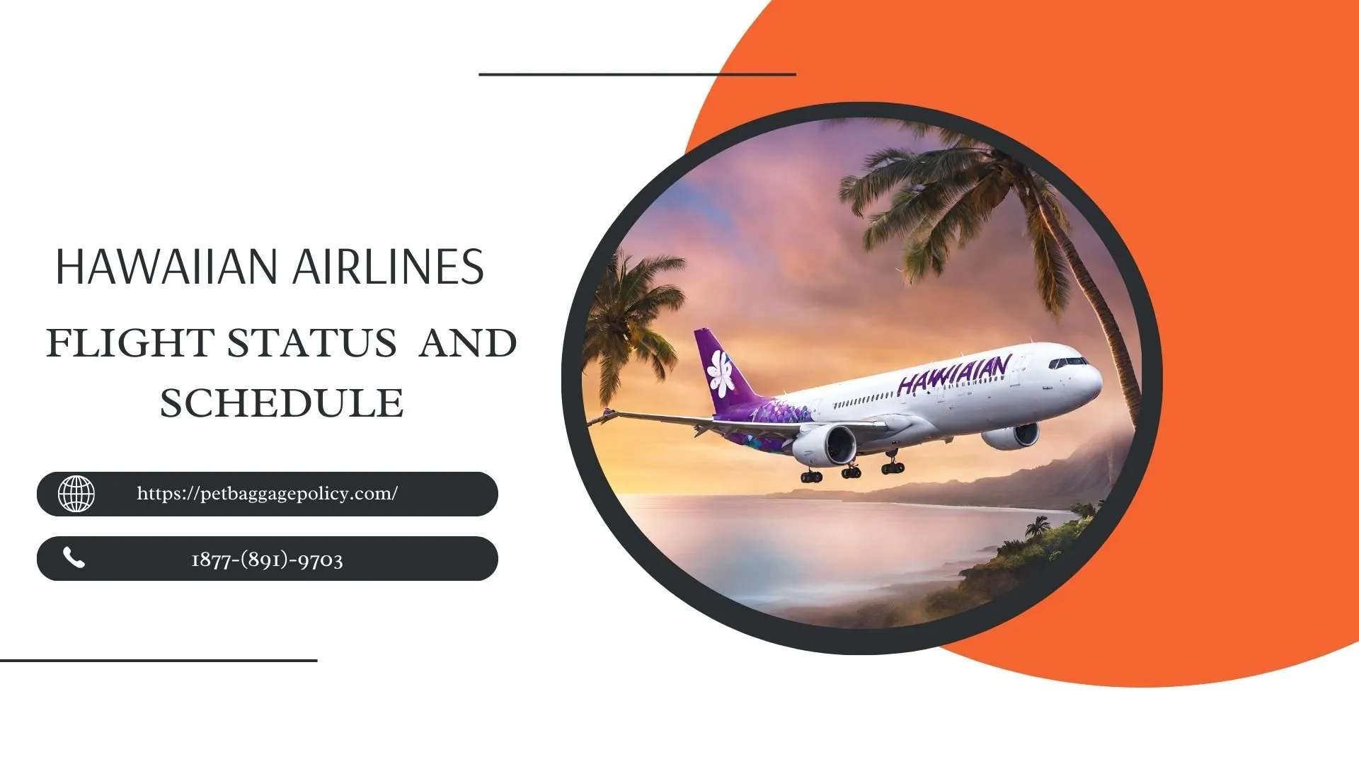 Hawaiian Airlines Flight Status and Schedule